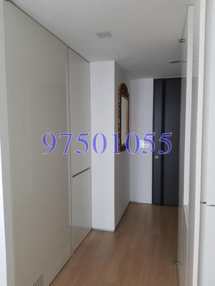 Skysuites@Anson (D2), Apartment #153286902